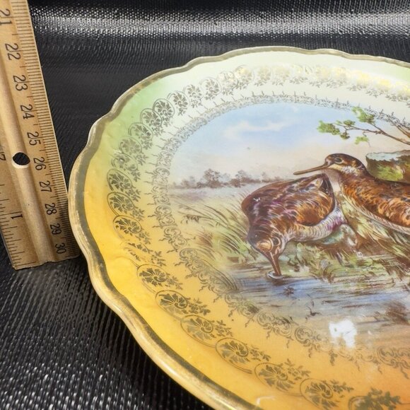 German Bavaria Fine Porcelain Dish Plate Bird Sandpiper Birds Ornate Plate 9.5” - Picture 4 of 15